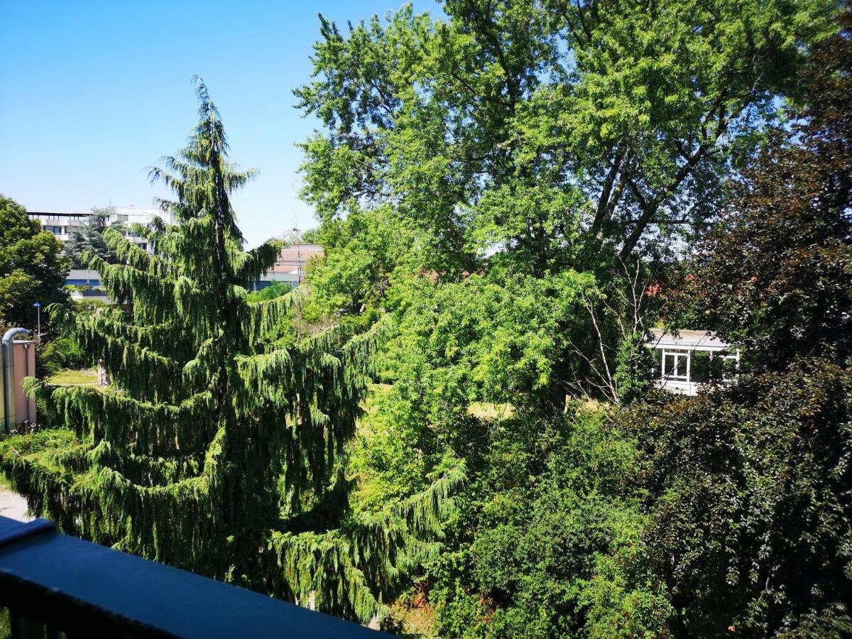 Hotel Ott Bad Krozingen Εξωτερικό φωτογραφία